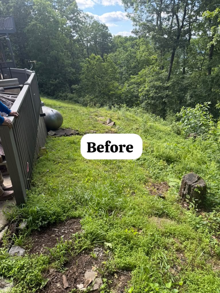 Weed trimming project photograph 2